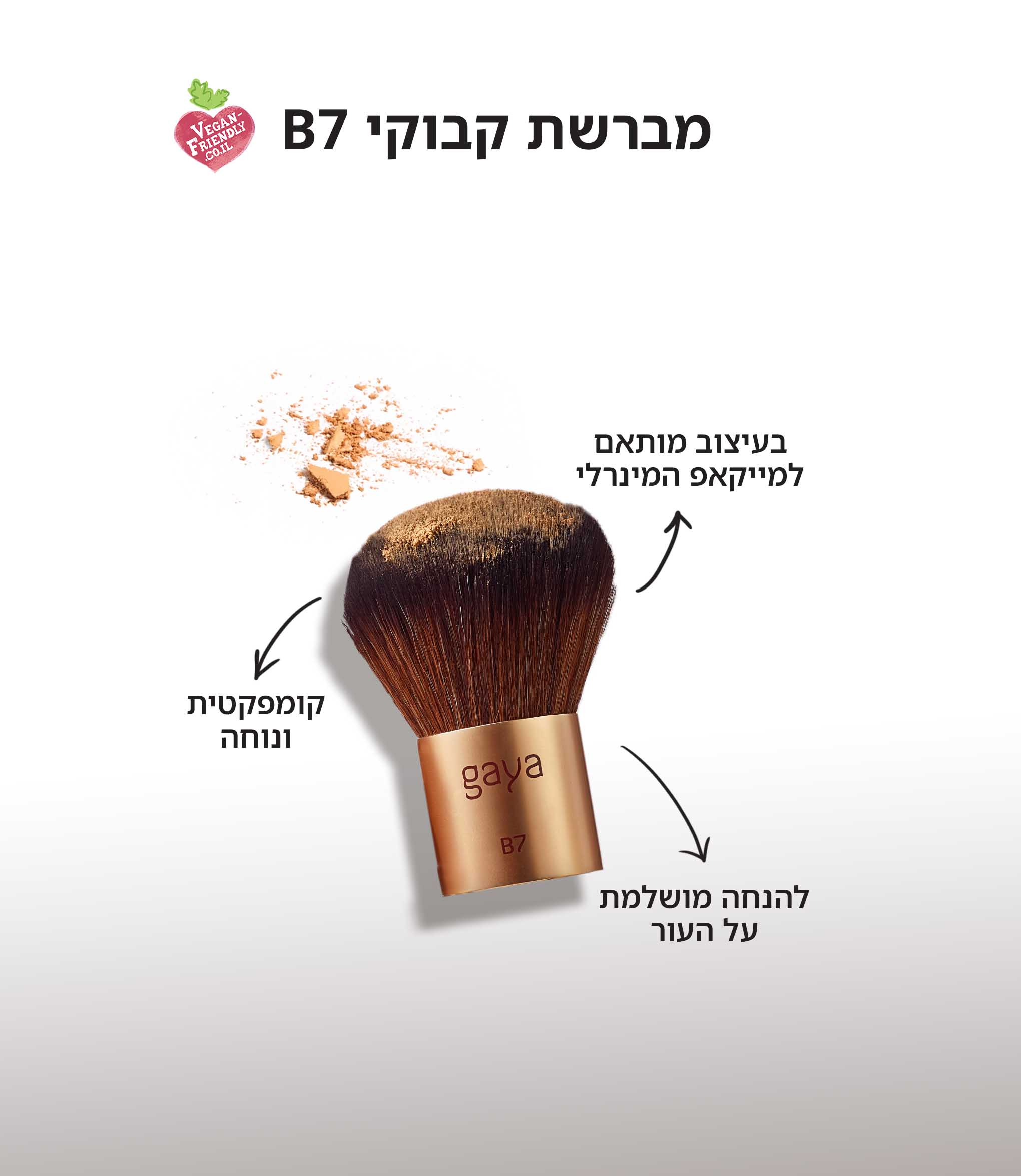 B7 מברשת קבוקי – תמונה 4